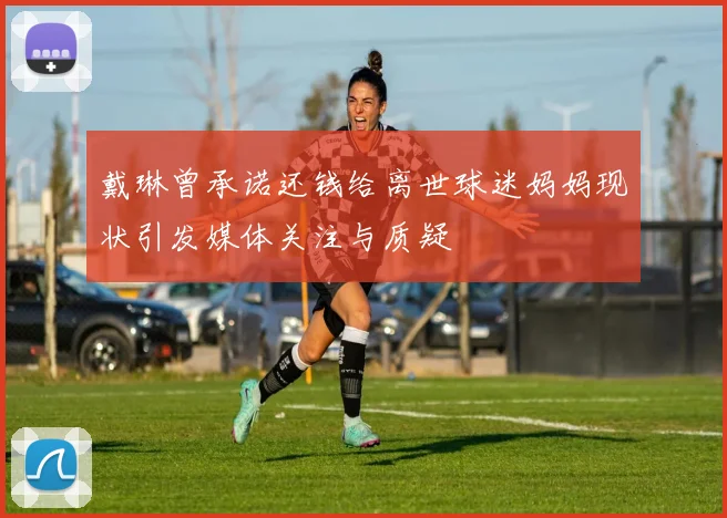 戴琳曾承诺还钱给离世球迷妈妈现状引发媒体关注与质疑
