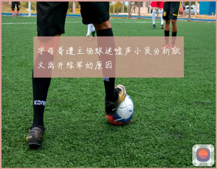 字母哥遭主场球迷嘘声小莫分析欧文离开绿军的原因